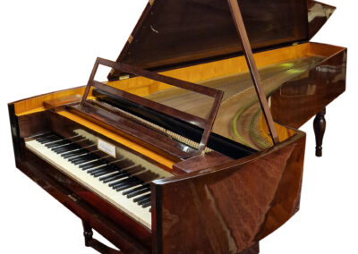 Copia di carlodemeglio1