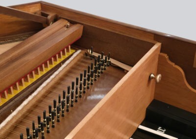 diego fernandez wrestplank